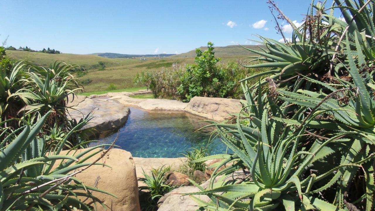 Wits End Mountain Resort Champagne Valley Экстерьер фото